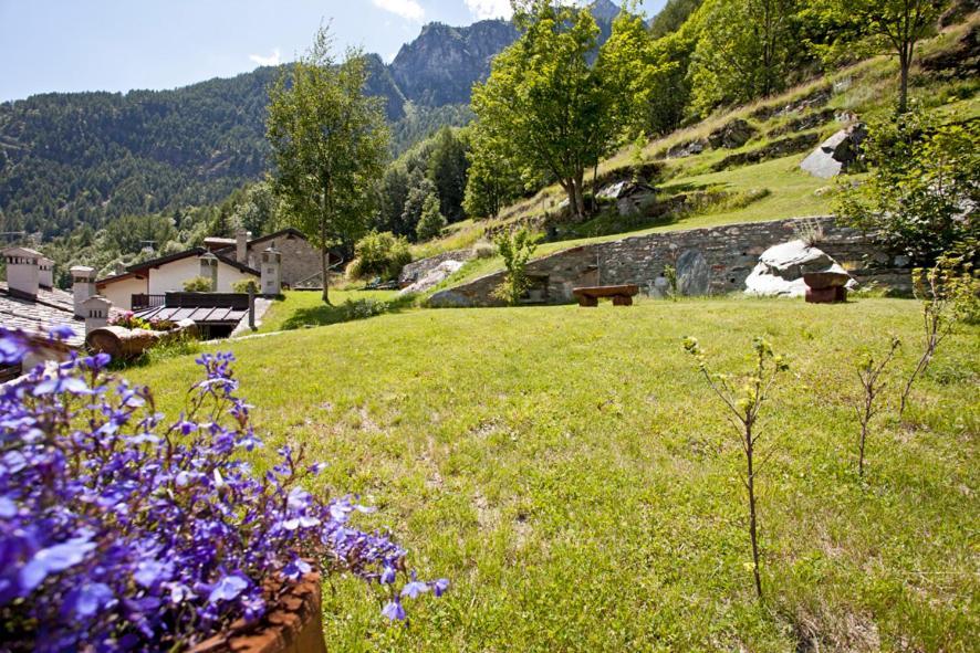 B&B A Pankeo Valtournenche Luaran gambar